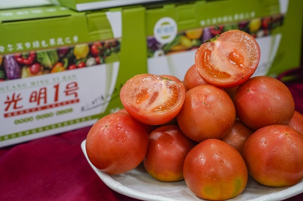 1763366368830802.jpg 微信图片_20251117155209_44_960.jpg