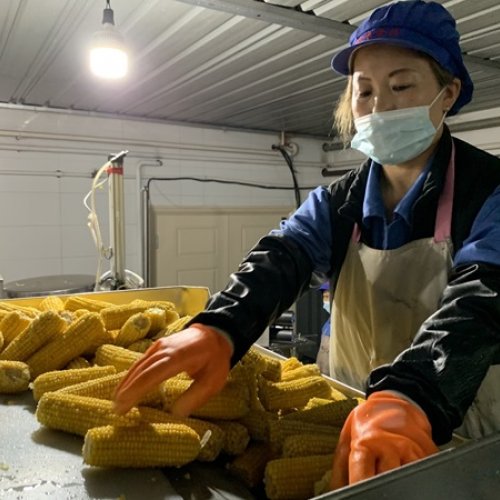 ũҵƷ ƽ 㷻ʮ塱ʱũҵ