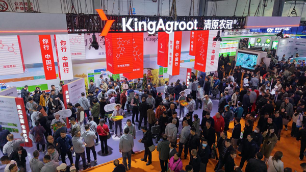 1763697101350103.png 图片1.png