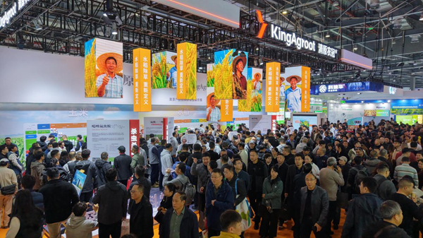 1763697105898329.png 图片2.png