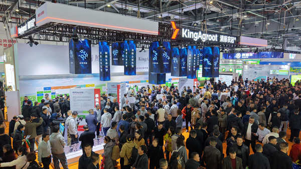 1763697108471021.png 图片3.png