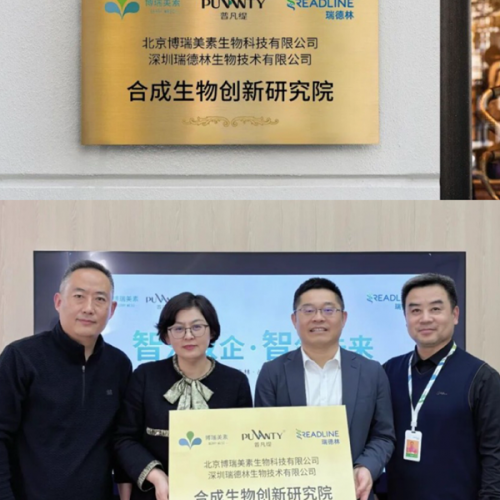 �ϳ����＼��+�߶˿�˥���շ��������ֹ���ҽ����