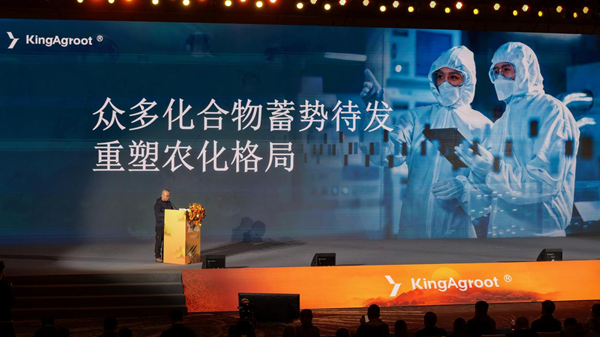 ͼƬ10.png