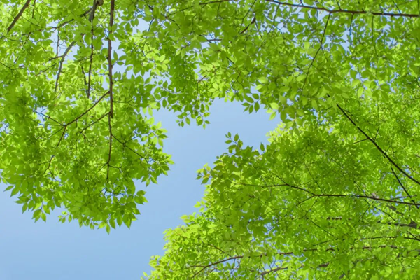 1779247310561693.png 图片10.png