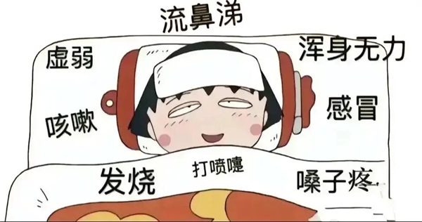 图片13.png